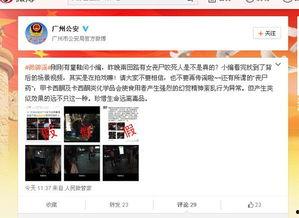 各种爆料各种辟谣视频,网络爆料与辟谣视频的较量